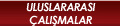 Uluslararas� �al��malar